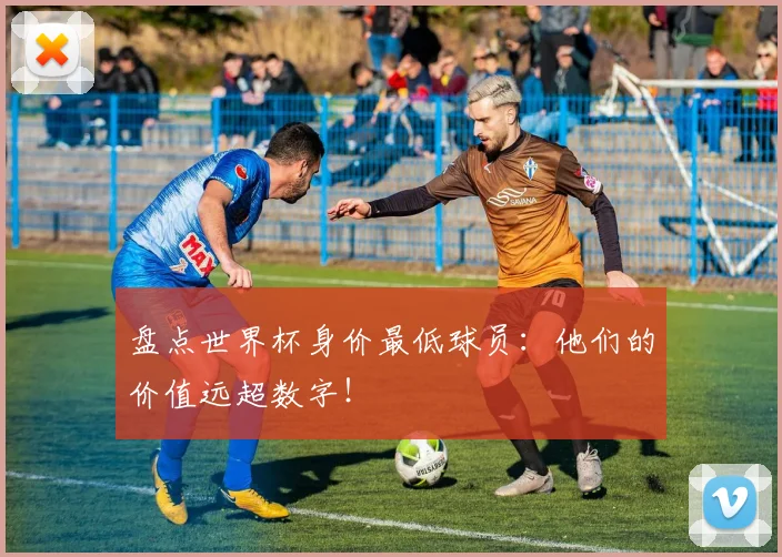 盘点世界杯身价最低球员:他们的价值远超数字!