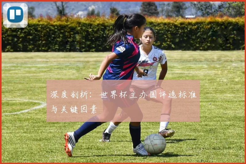 深度剖析：世界杯主办国评选标准与关键因素