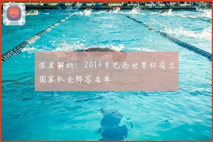 深度解析:2014年巴西世界杯荷兰国家队全阵容名单
