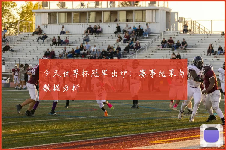 今天世界杯冠军出炉：赛事结果与数据分析