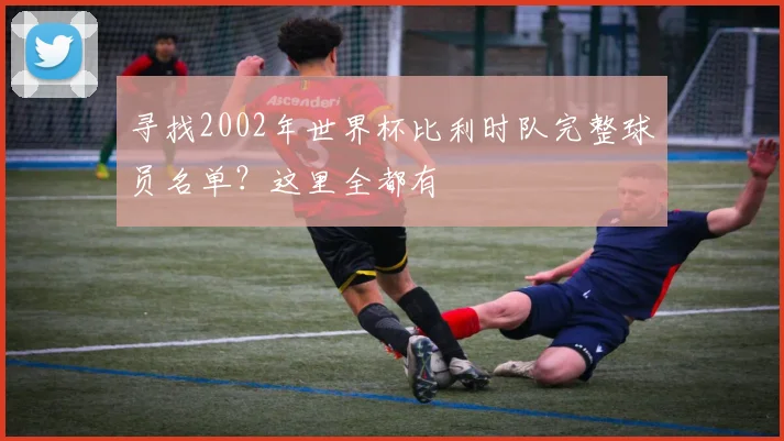寻找2002年世界杯比利时队完整球员名单？这里全都有
