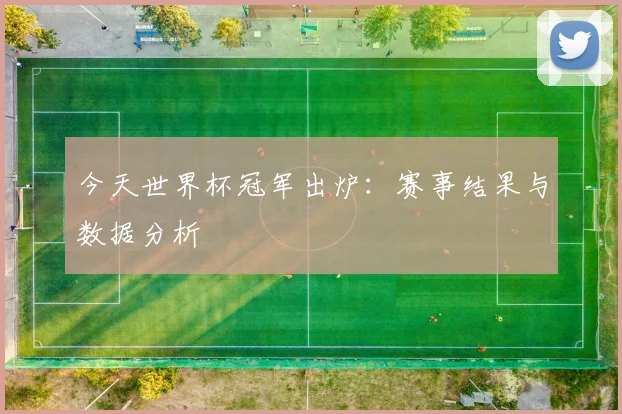 今天世界杯冠军出炉:赛事结果与数据分析