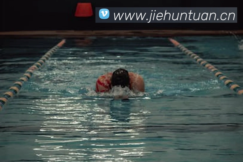 乐鱼平台生态图